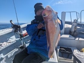 アマダイ(アカアマダイ)