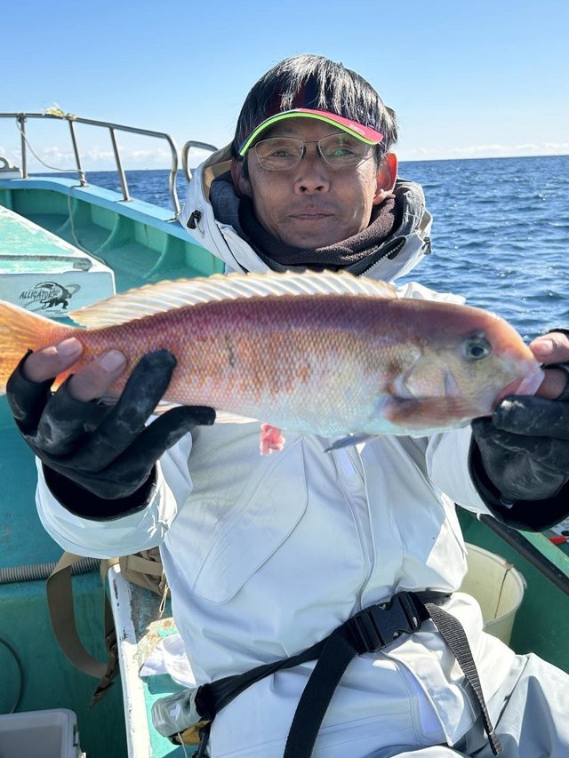 アマダイ(アカアマダイ)