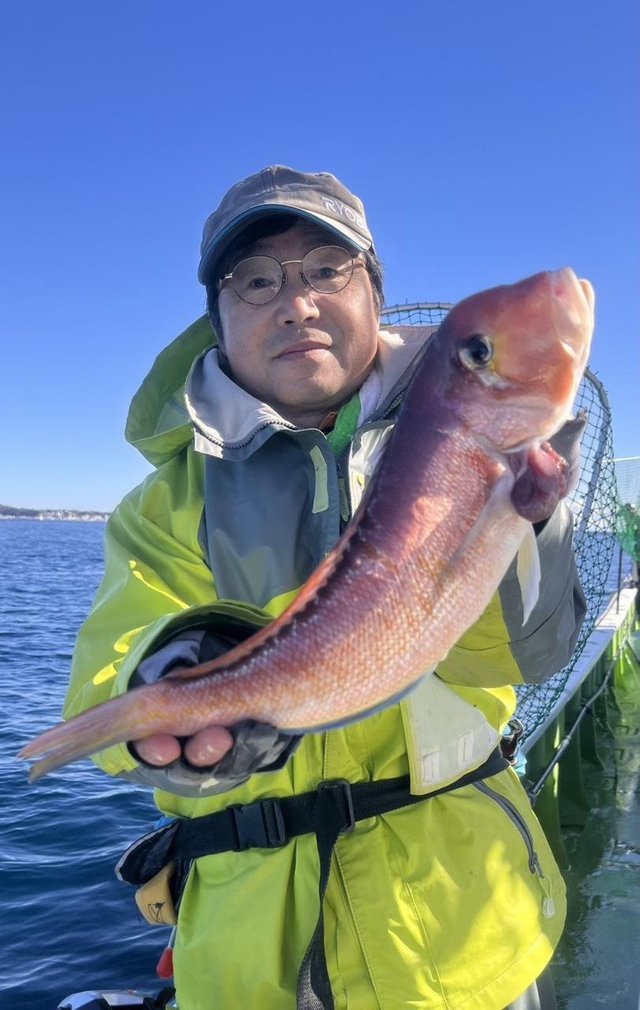 アマダイ(アカアマダイ)