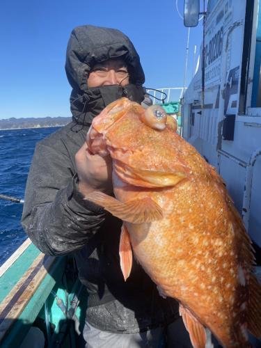 ウッカリカサゴ