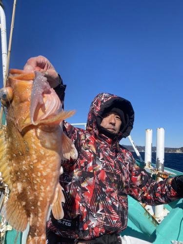 ウッカリカサゴ