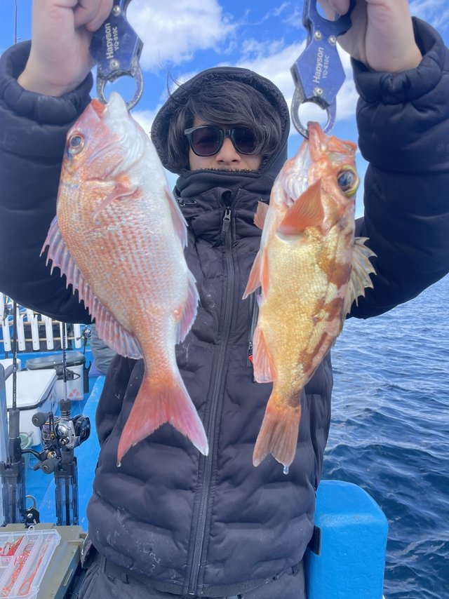 マダイ・メバル