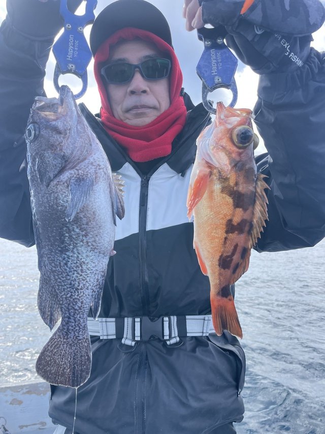 メバル・マゾイ(キツネメバル)