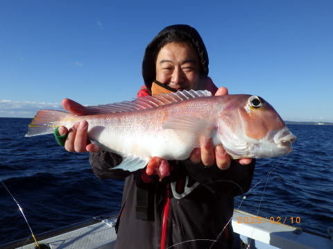 アマダイ(アカアマダイ)