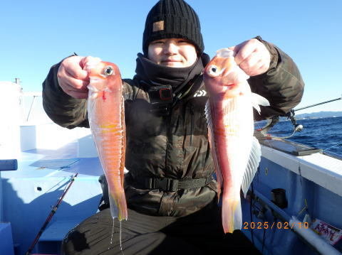 アマダイ(アカアマダイ)