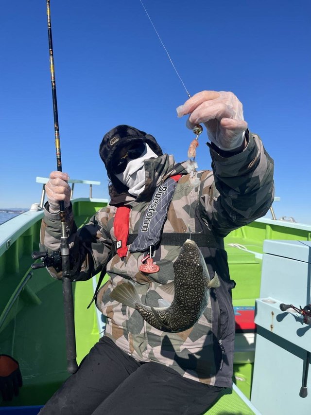 フグ(ショウサイフグ)