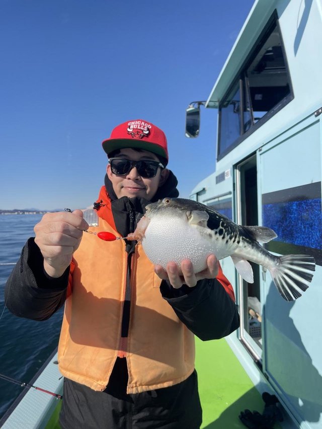 フグ(トラフグ)