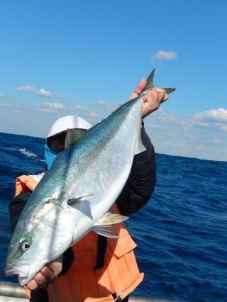 サンパク(ブリ)