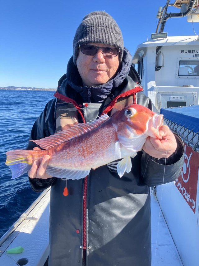 アマダイ(アカアマダイ)