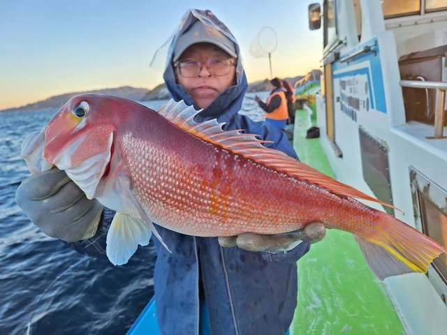 アマダイ(アカアマダイ)