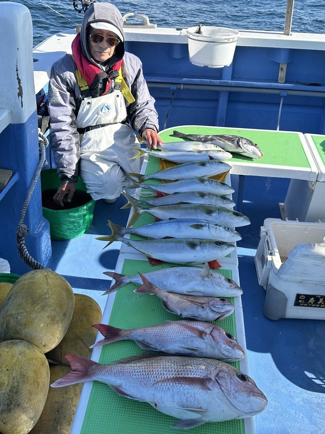 マダイ・クロダイ・イナダ(ブリ)