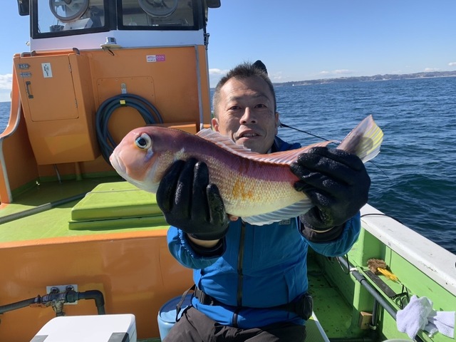 アマダイ(アカアマダイ)