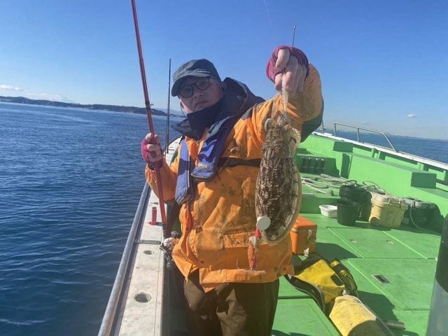 モンゴウ(カミナリイカ)