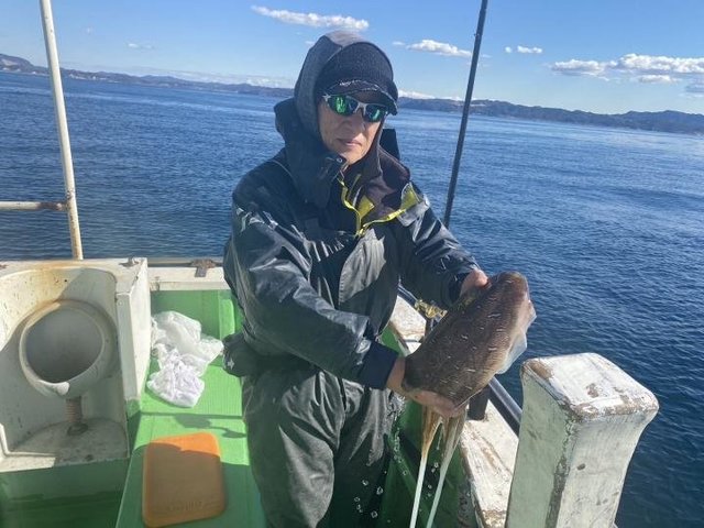 モンゴウ(カミナリイカ)