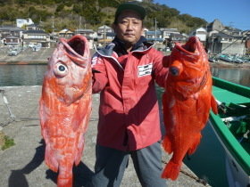 ベニアコウ(オオサガ)