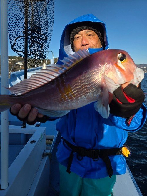 アマダイ(アカアマダイ)