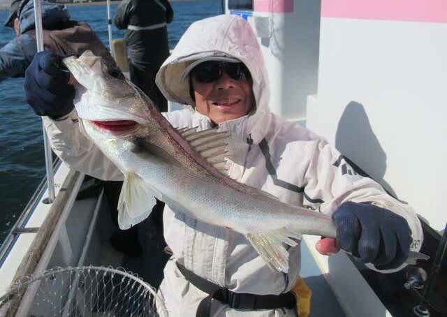 シーバス(スズキ)