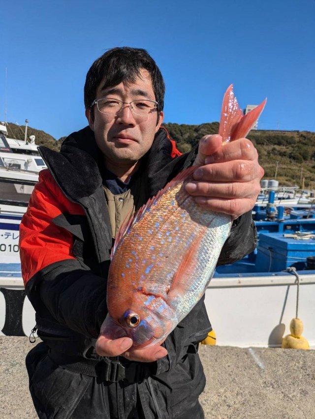 ハナダイ(チダイ)