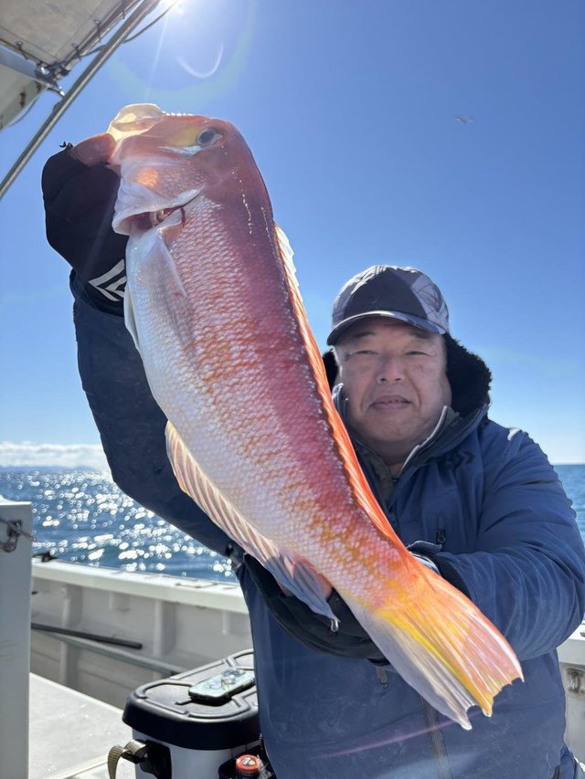 アマダイ(アカアマダイ)