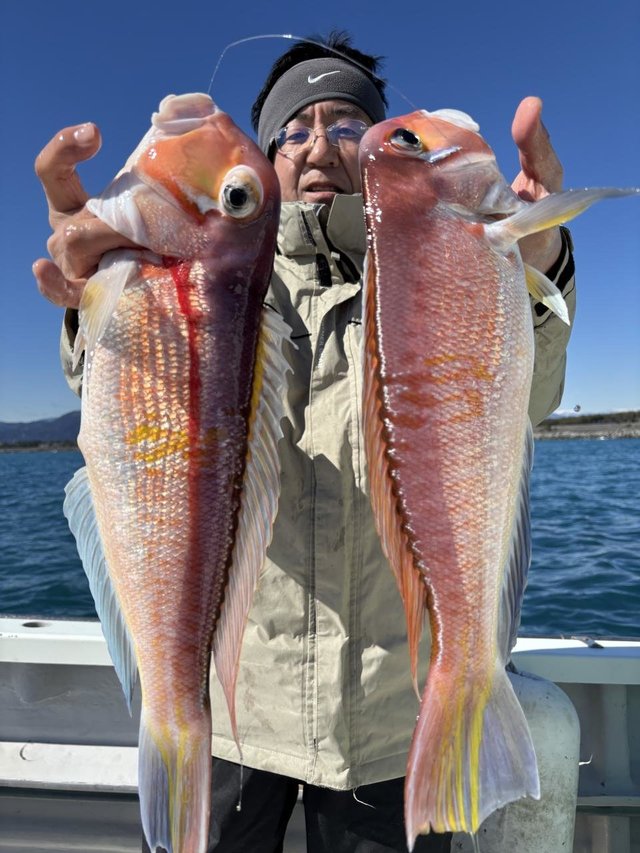 アマダイ(アカアマダイ)