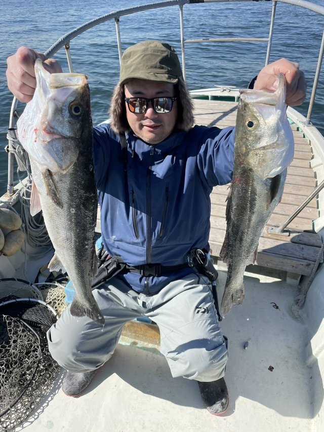 シーバス(スズキ)