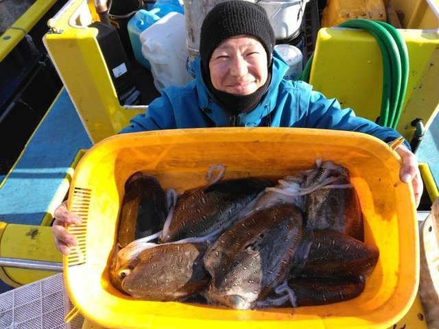 スミイカ(コウイカ)・カミナリイカ