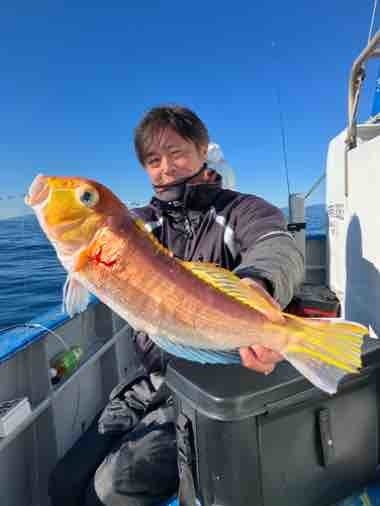 アマダイ(アカアマダイ)