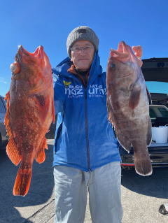 マハタ・カサゴ