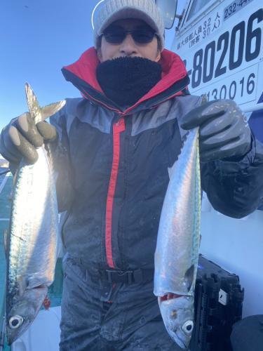 サバ(ゴマサバ)