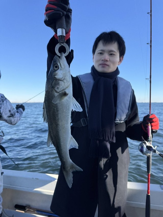 シーバス(スズキ)