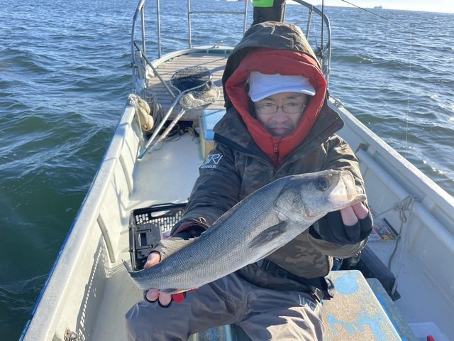 シーバス(スズキ)