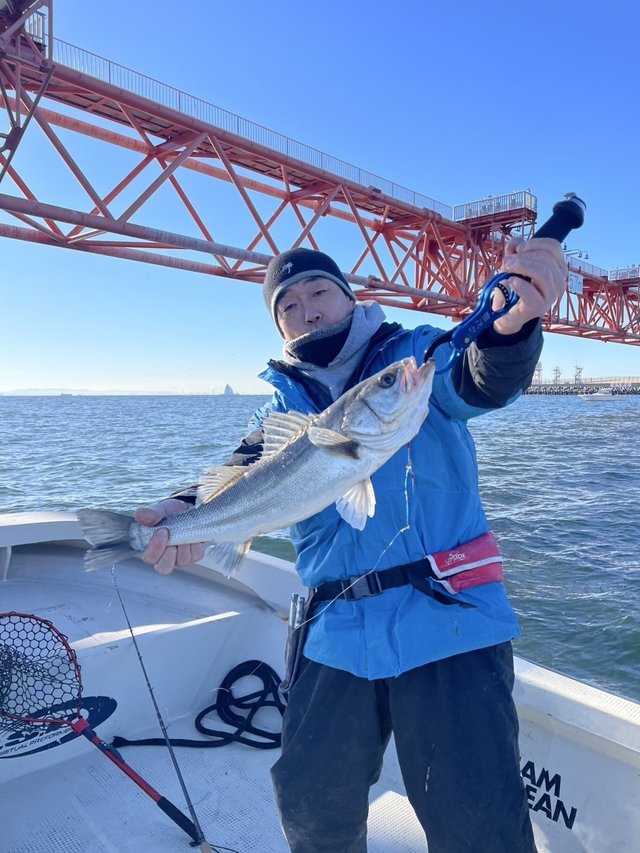 シーバス(スズキ)