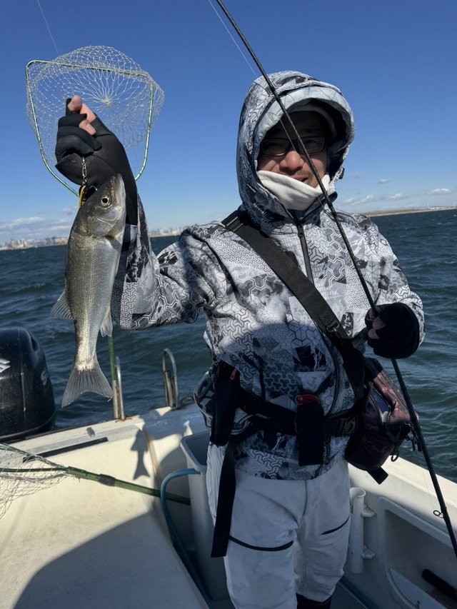 シーバス(スズキ)