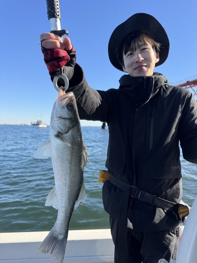 シーバス(スズキ)