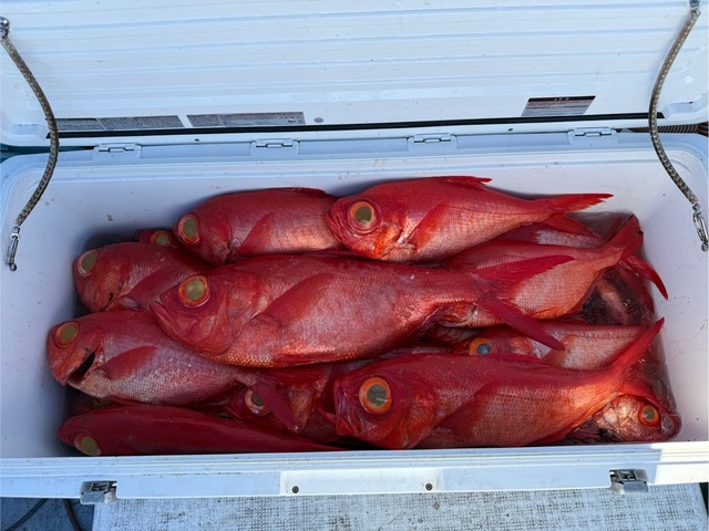 キンメ(キンメダイ)