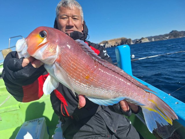 アマダイ(アカアマダイ)