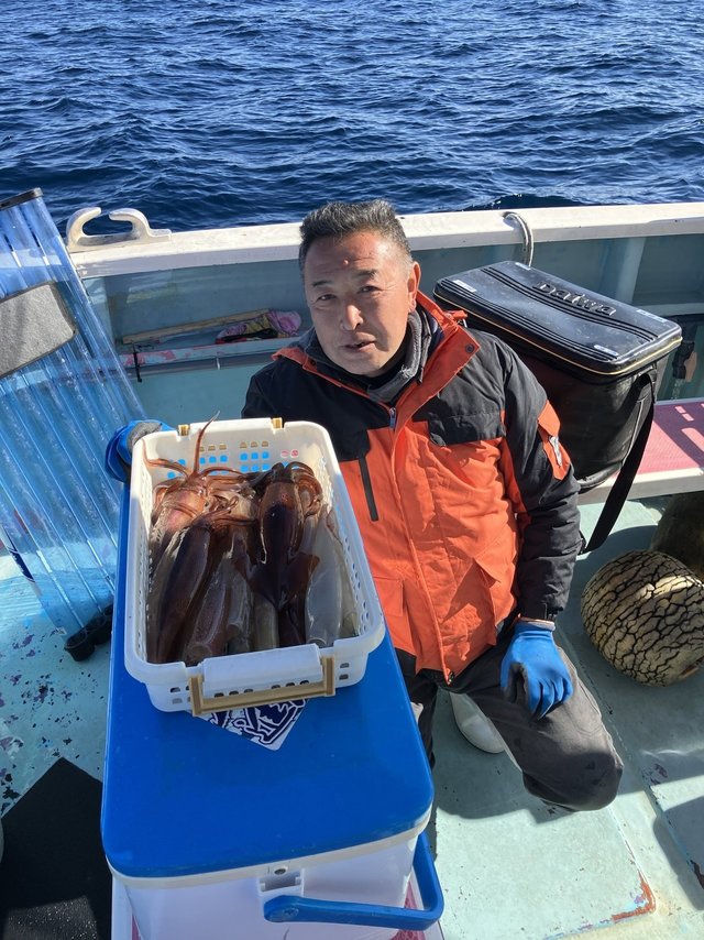 ヤリイカ・スルメ(スルメイカ)