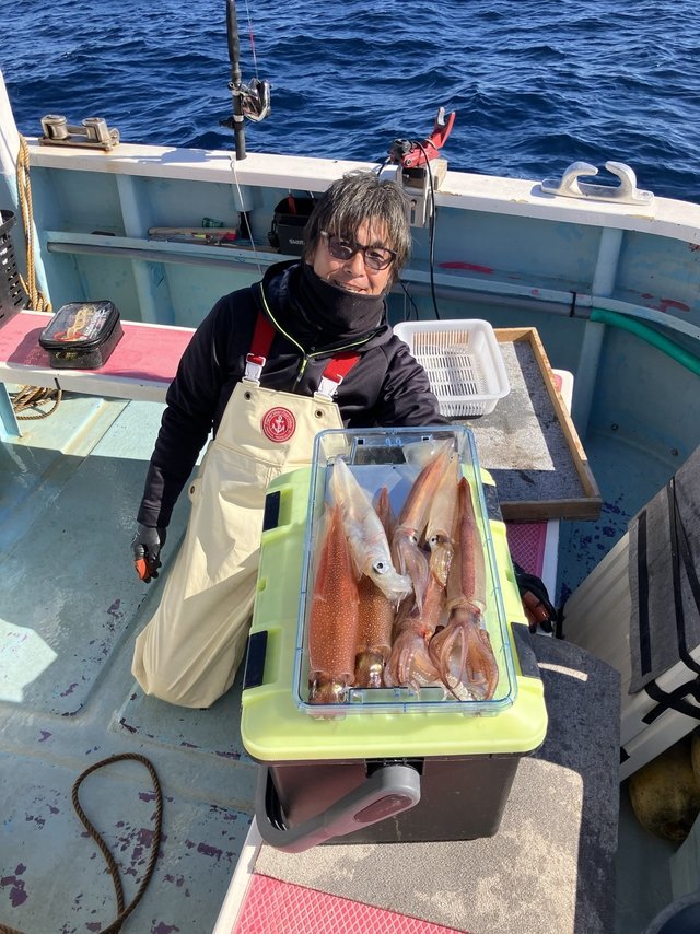 ヤリイカ・スルメ(スルメイカ)