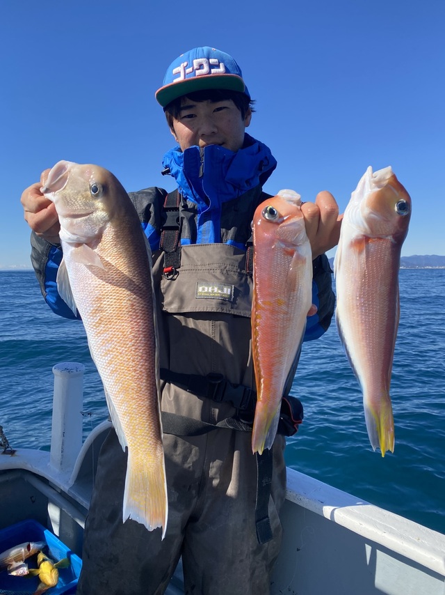 アマダイ(アカアマダイ)