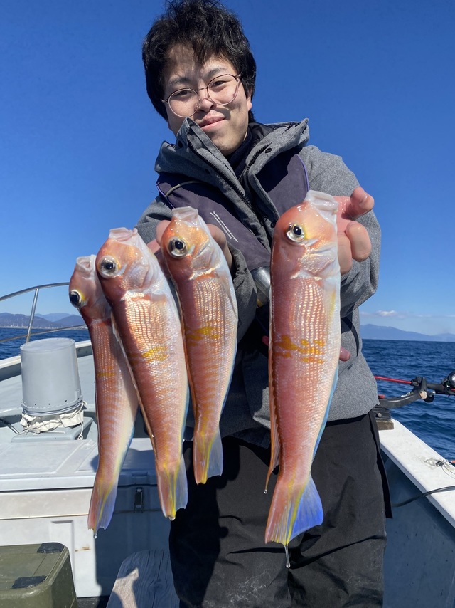 アマダイ(アカアマダイ)