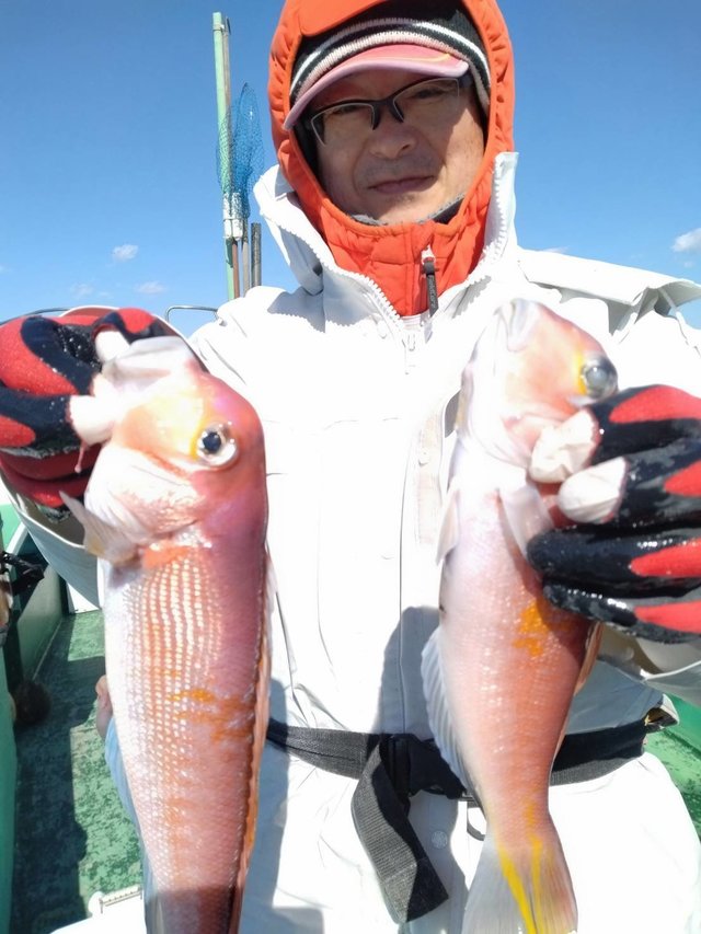 アマダイ(アカアマダイ)