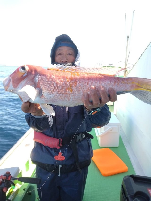 アマダイ(アカアマダイ)