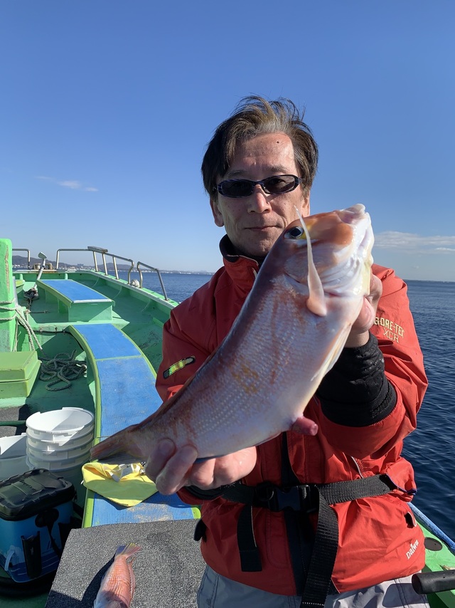 アマダイ(アカアマダイ)