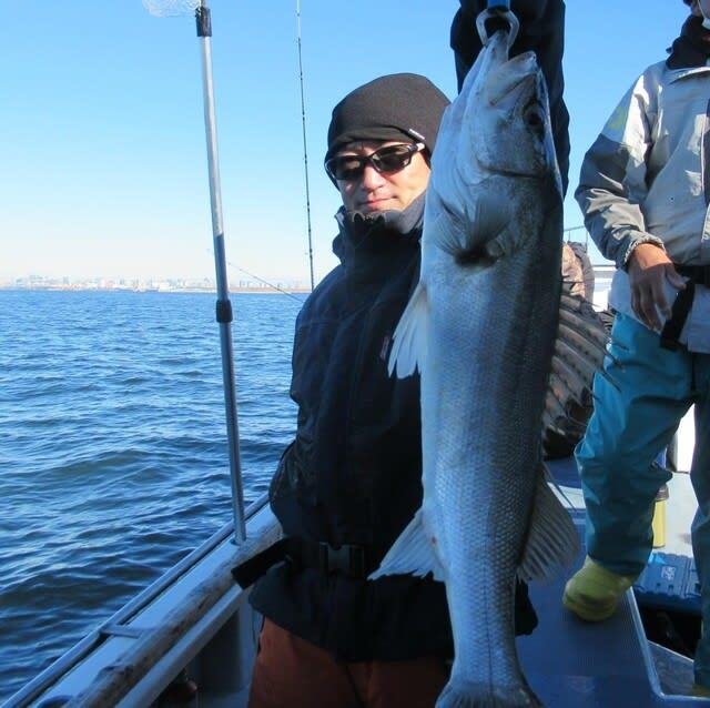 シーバス(スズキ)