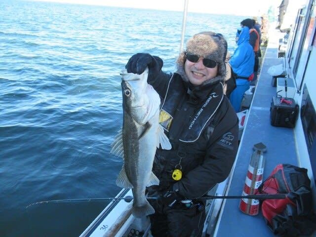 シーバス(スズキ)