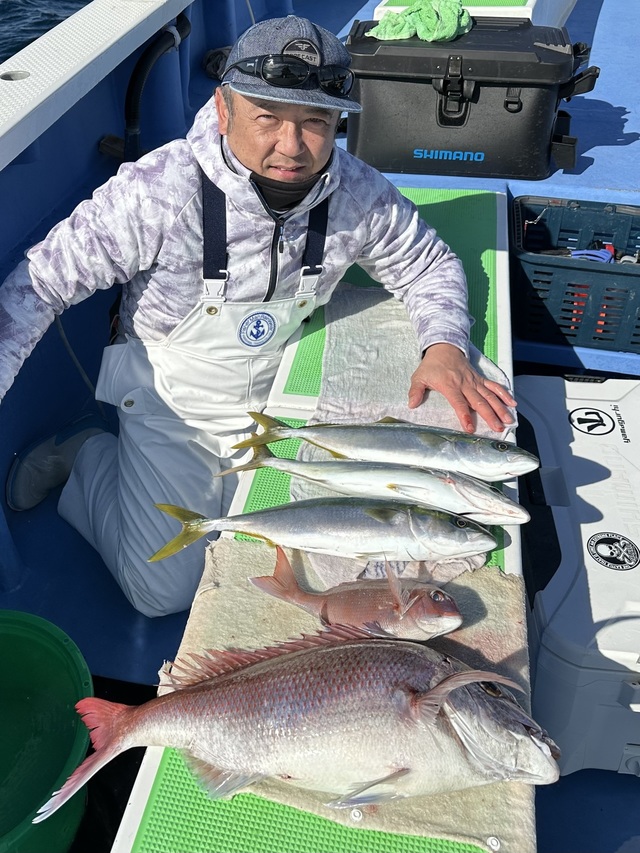 マダイ・イナダ(ブリ)