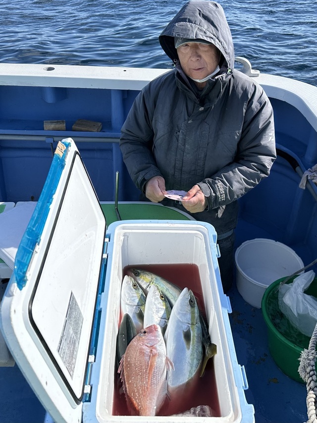 マダイ・イナダ(ブリ)