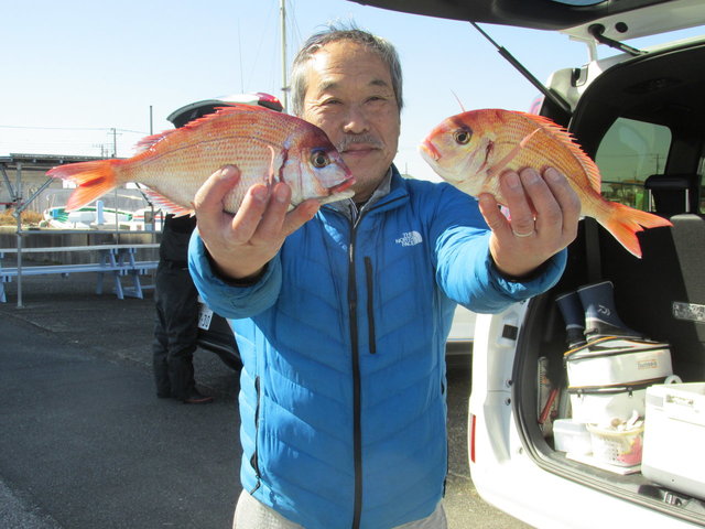 ハナダイ(チダイ)