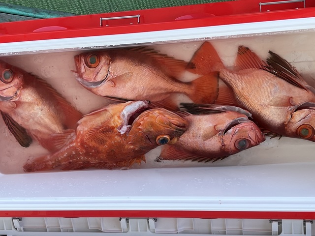 キンメ(キンメダイ)