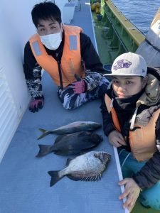 クロダイ・メジナ・イサキ